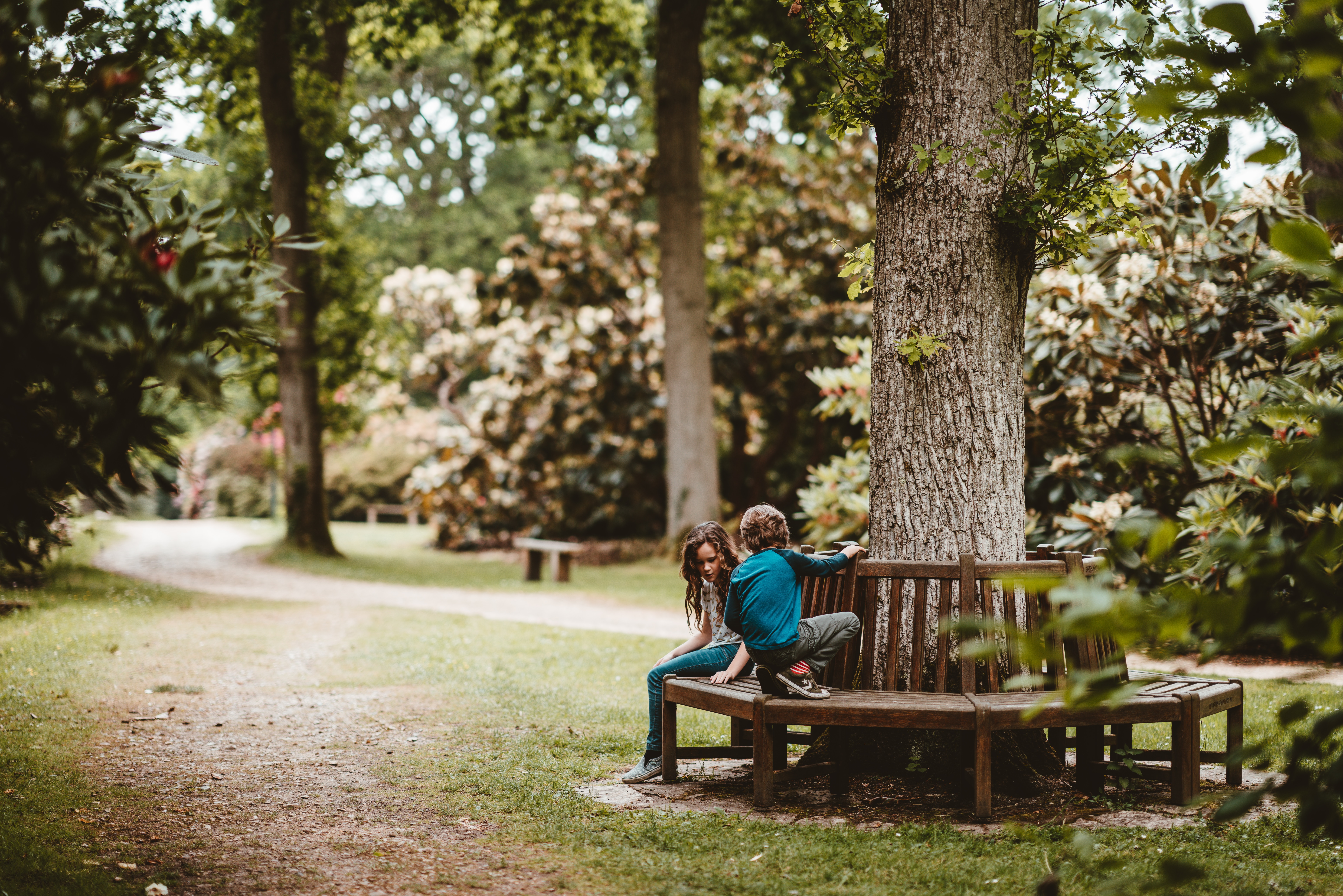 curved bench around a tree