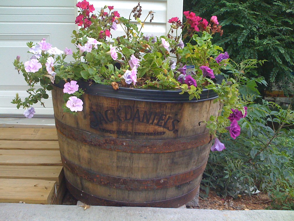 barrel planter